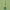 Bombe de spray de brillance ORS Olive Oil Nourishing Sheen Spray 332g